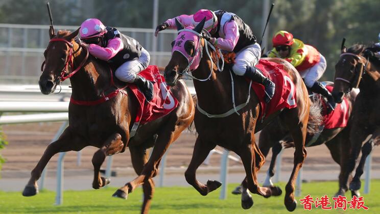 有片 | 梁家俊跌鞭美麗同享飲恨 永遠美麗險勝馬會一哩錦標