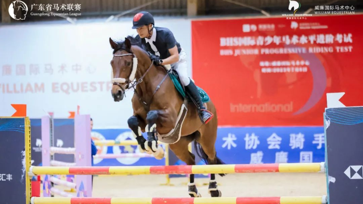 有片丨第七屆廣東省馬術聯賽分站賽第二站在深圳威廉國際馬術中心圓滿落幕