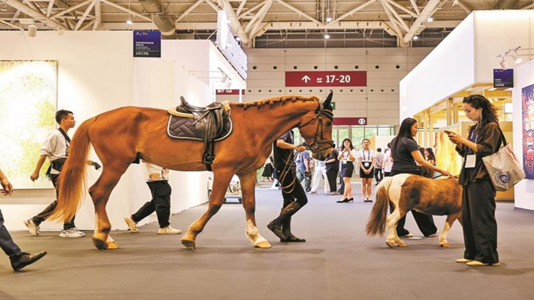 ?深灣馬術莊園「搬」到展會現場 兩匹馬兒首秀「圈粉」無數