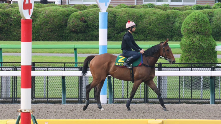 有片｜【東京直搫】遨遊氣泡浪漫勇士最後備戰 姚本輝變招出擊